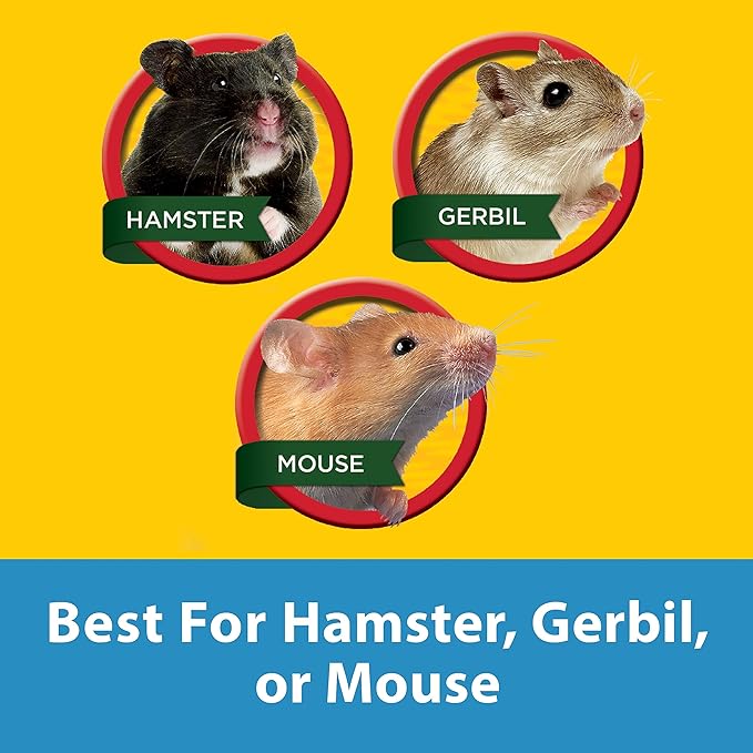 Kaytee CritterTrail Two Level Habitat for Pet Dwarf Hamsters, Gerbils or Mice