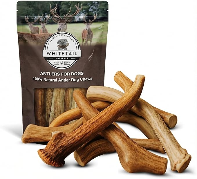 WhiteTail Naturals Deer Antlers for Dogs (1 lb Bulk Pack) Premium Antler Chews for Medium to Large Dogs – Grade A, Wild Sourced & Naturally Shed (Approx. 4-5 Count)