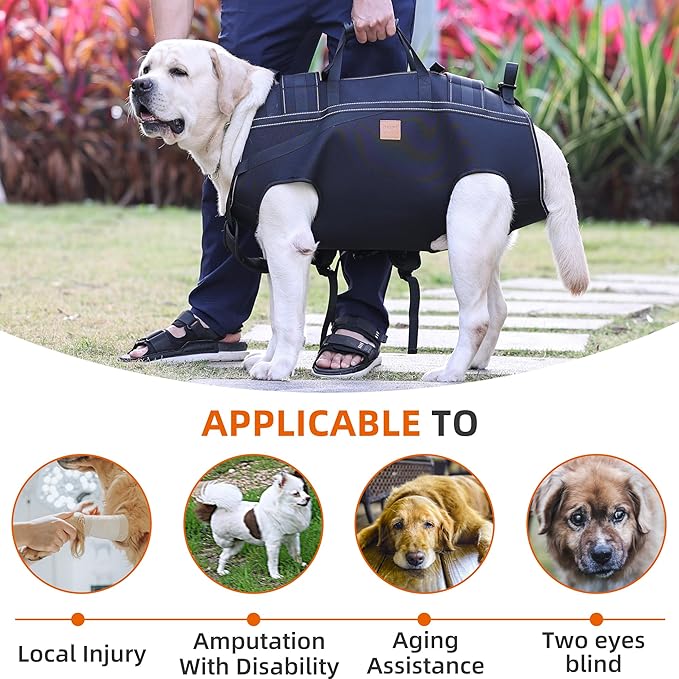 ETIAL Dog Lift Harness, Secure Harness for Assisted Mobility, Full Body Support & Recovery Sling Dog Lifter Vest Harness for Senior Dog, Disabled, Joint Injurie, Arthritis, Loss of Stability Dogs Walk