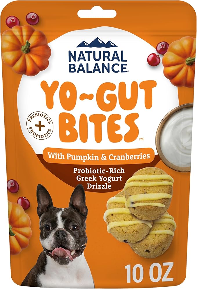 Natural Balance Yo-Gut Bites Crunchy Dog Treats with Real Pumpkin & Cranberries, Greek Yogurt Drizzle, Probiotics for Digestive Support, 10oz Bag