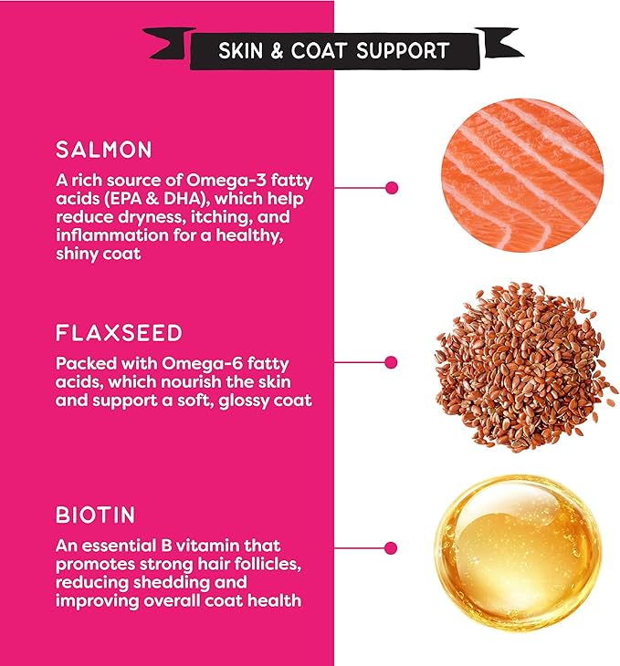 CHAMPS Soft Healthy Dog Treats for Skin & Coat Support Made with Omega 3, Biotin & Flaxseed - Grain Free Salmon - 16 oz