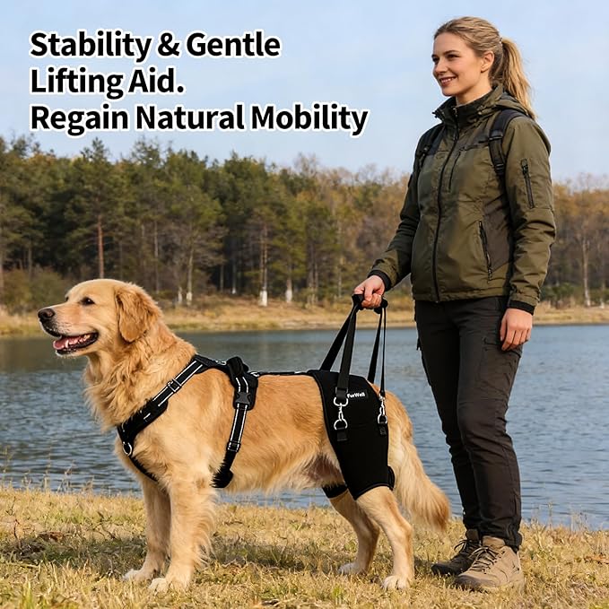 Dog Hip Brace for Hip Dysplasia & Arthritis - Adjustable Support Wrap with Removable Pads, Lifting Handle & Stabilizing Straps for Large Medium Dogs - Relief for Pain, Weakness & Lameness(XL)