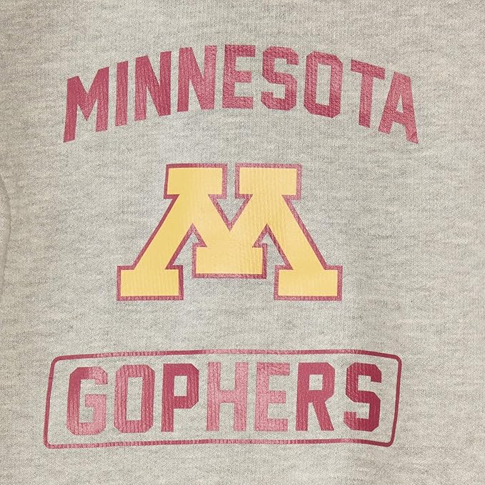 Littlearth NCAA Unisex NCAA Pet Hooded Crewneck with Team Logo and Name