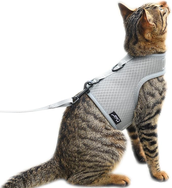 Cat Harness and Leash for Walking Escape Proof Breathable Mesh Fabric, Solid Grey, Extra Large, Adjustable Cat Walking Jackets, Padded Stylish Cat Vest