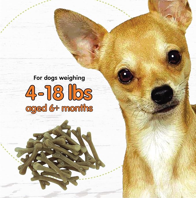 FIDO - Super Breath Dental Care Bones for Dogs - 100 Count Mini Dog Dental Treats for Extra Small Dogs, Made in USA, Tasty Dog Dental Chews Help Reduce Plaque, Tartar Buildup & Freshens Breath