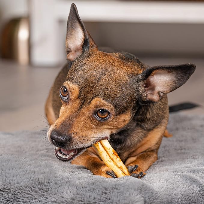 Pet Factory American Beefhide 3-3.5" Mini Rolls Dog Chew Treats - Chicken Flavor, 14 Count/1 Pack