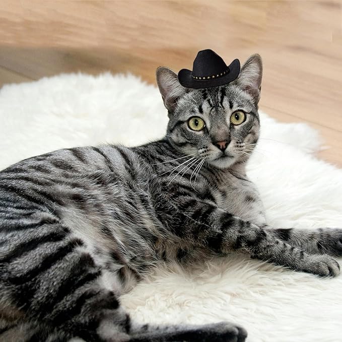 Dog Cowboy Hat Cat Cowboy Hat Mini Cowboy Hat for Dogs Cat Pet Cowboy Costume with Bandana Scarf Holiday Halloween Pet Party Decoration (Black, Small)