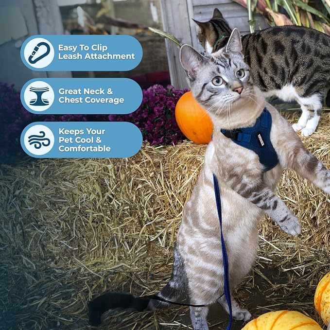 Voyager Escape-Proof Step-in Lock Cat Harness & 5ft Neoprene-Handle Leash Set All-Weather Mesh with Reflective Stitching for Small to Large Cats by Best Pet Supplies, Royal Blue, XXS
