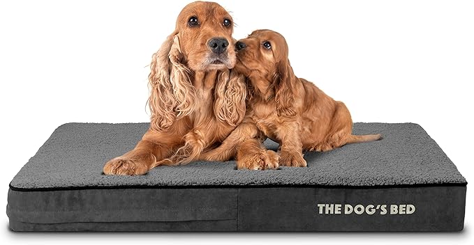 The Dog’s Bed Orthopedic Memory Foam Dog Bed for Large Dogs, Waterproof Washable Cover, Anti-Slip Base, Calming Surface – CertiPUR-Certified Foam, Grey Plush, 4 Inch Thick