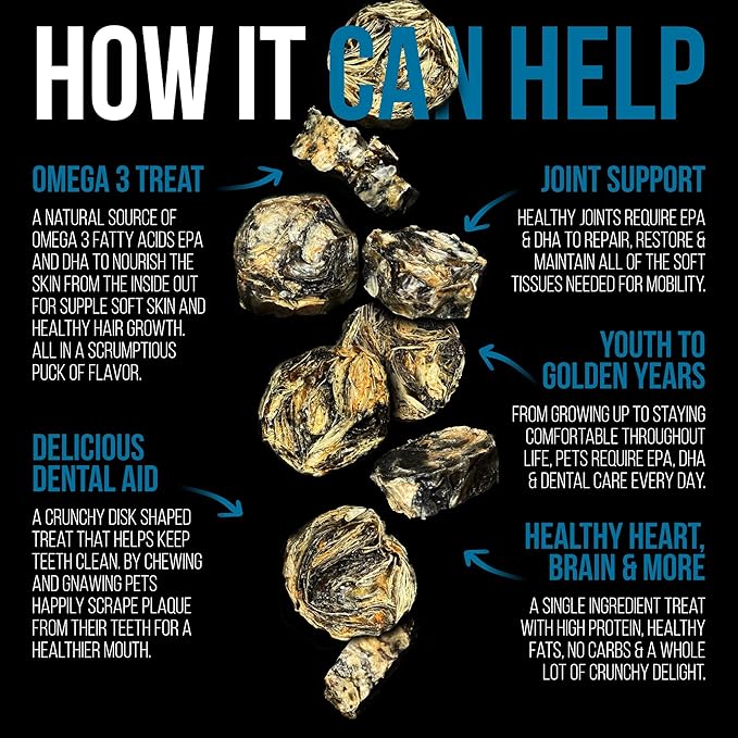 Best Paw Nutrition Wild Caught Fish Treats Icelandic Pure Cod Skins Reward Protein Snacks Rich in EPA & DHA K9 Brain Heart Skin & Coat Health Crunchy Dental Treats