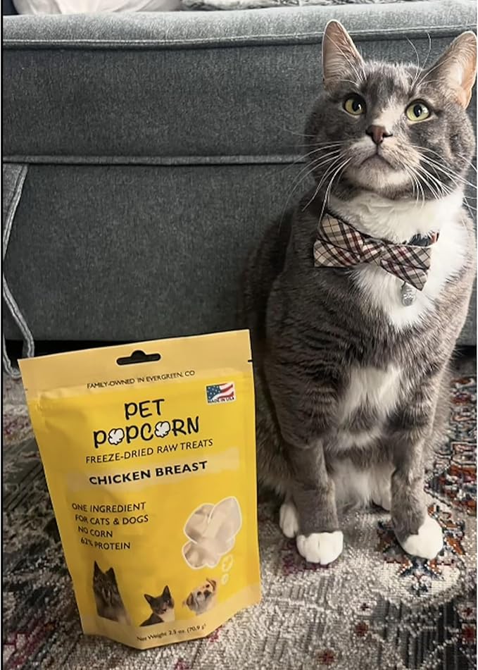 Freeze-Dried Raw Treats - Chicken Breast - 2.5oz Bag, Dog & Cat Snacks, Single Ingredient, Natural, Pet Food Topper, Protein‑Packed Meat