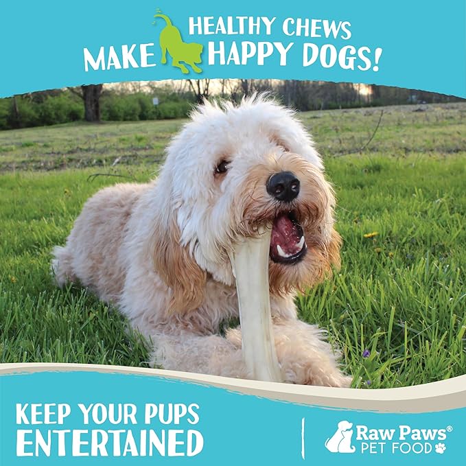 Raw Paws Compressed Rawhide Bones - 12-inch, 2-ct Pack - USA Made - Large Dog Chews