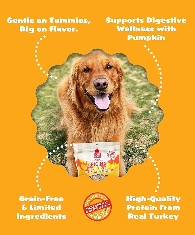 PLATO Pet Treats Real Strips Dog Treats – Turkey & Pumpkin – Air-Dried High Protein Dog Treats – Supports Immunity & Gut Health – Limited Ingredient, No Fillers – Made in USA – 6 oz