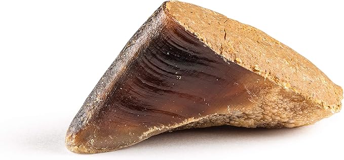 Jack&Pup Filled Cow Hooves for Dogs, Cow Hoofs for Dogs, Natural Dog Chews, Stuffed Bones (Peanut Butter Flavor) 5 Pack