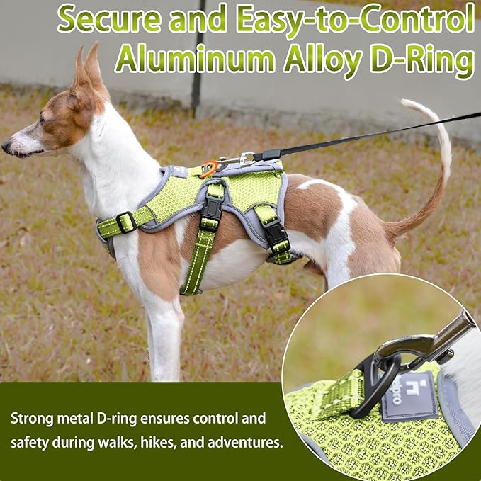 BELPRO Multi-Use Support Dog Harness, Escape Proof No Pull Reflective Adjustable Vest with Durable Handle, Dog Walking Harness for Big/Active Dogs (Green, XL)