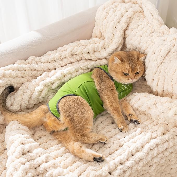 Avont Cat Recovery Suit for Surgery, Breathable Anti-Licking Onesie for Kittens, Surgical Post-Operative Protective Bodysuit, Comfortable Alternative to E-Collar -Green (L)
