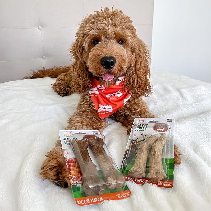 Nylabone Healthy Edibles WILD Natural Dog Chew Treats for Large Dogs, Long Lasting Dog Healthy Chew Antler Bone Made in USA, Venison Flavor, For Dogs Up to 50 lbs. (10 Count)