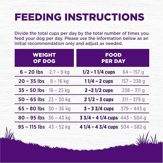 Wellness Complete Health Dry Dog Food, Wholesome Grains, Natural, Whitefish & Sweet Potato, (5-Pound Bag)