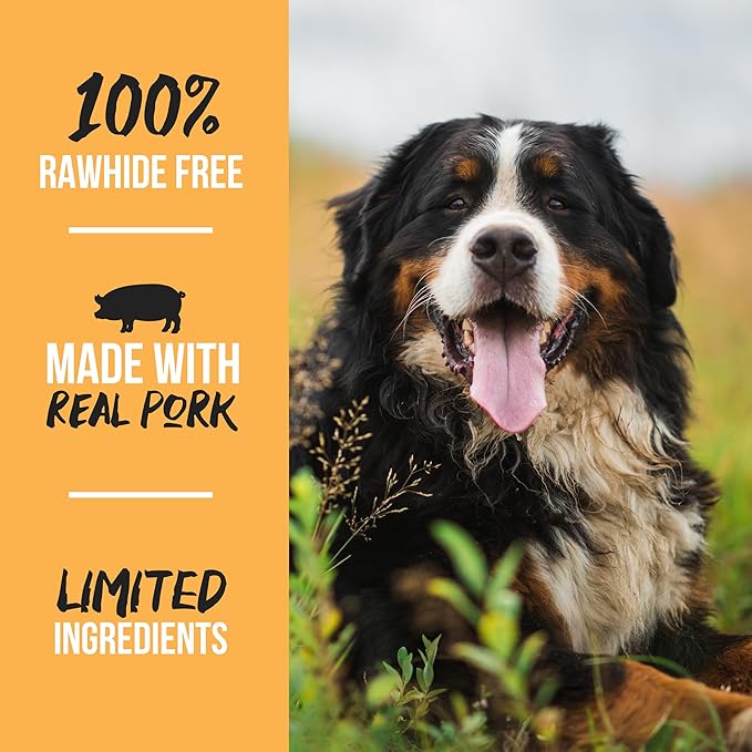 Grillerz Pork Femur Bone, 1 Count, Rawhide Free, All Natural Treat for All Breeds, Gluten Free, Long Lasting, Easy to Digest, For Adult Life Stages, Dog Chew for Healthy Teeth