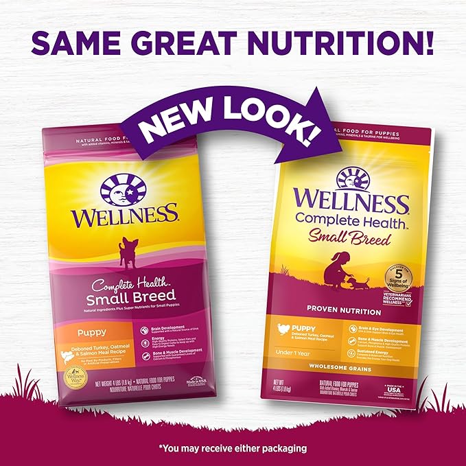 Wellness Complete Health Puppy Dry Dog Food, Small Breed, Wholesome Grains, Natural, Turkey, Oatmeal, & Salmon Recipe, (4-Pound Bag)