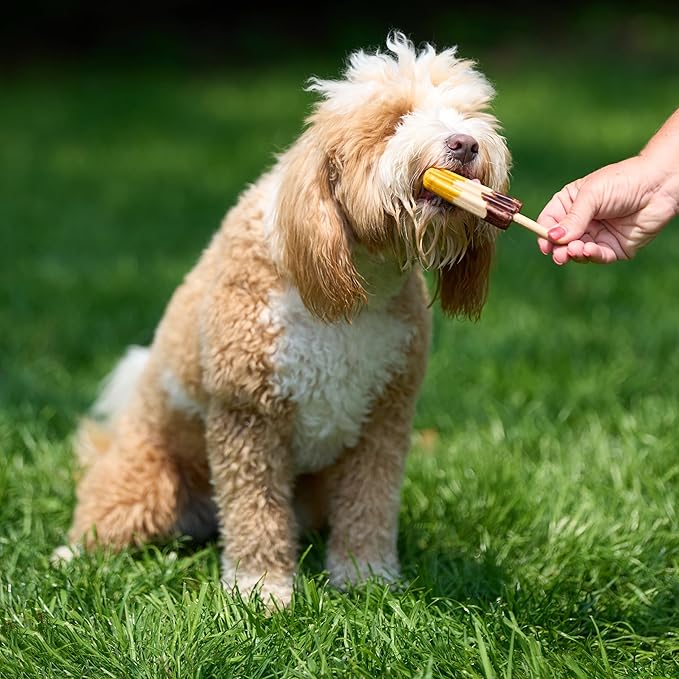 SPOT Pup Ice Dog Treats – Freeze-at-Home Edible Chews for Medium Breed Dogs & Puppies, Banana & Carob Flavor (No Chocolate), 2ct Rocket Lollies with Real Chicken