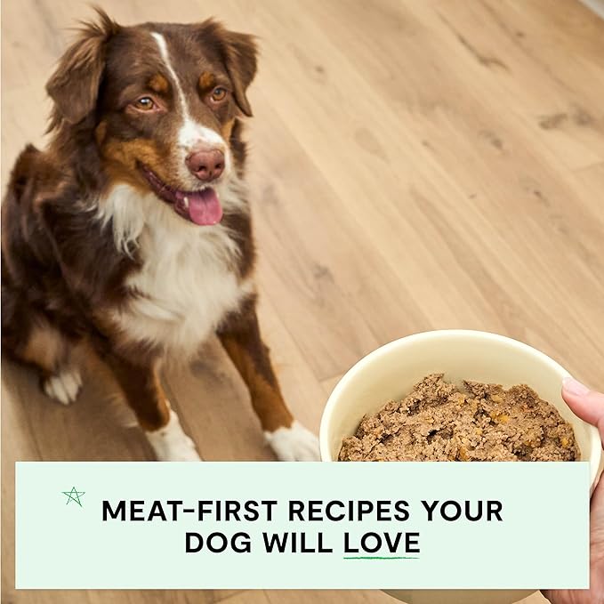 Open Farm Canned Dog Food, Pate for Complete & Balanced Nutrition, Grain Free and Legume-Free, Chicken & Salmon Recipe, 12.5oz Cans (Pack of 12)