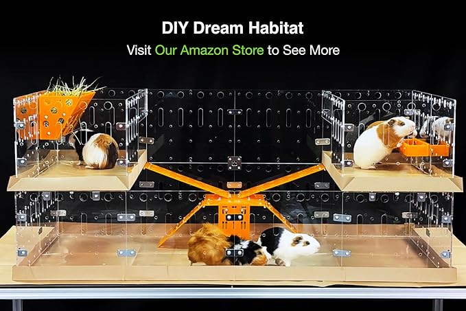 GuineaLoft™ Acrylic Cage (Model-A) - Large 4x2ft Expandable C&C Cage for Guinea Pigs, Rabbits, Button Quails, Hedgehogs, Small Animals that Need Roaming Space - Visit Our Store to See More
