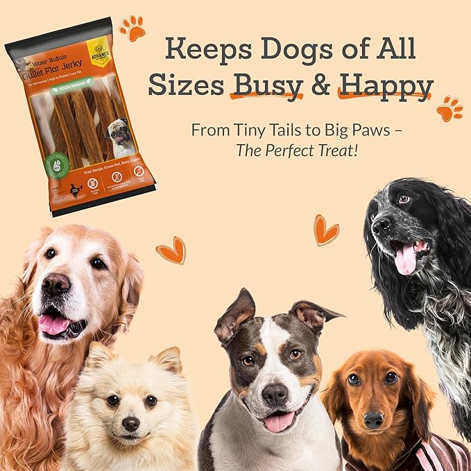 Advance Pet Products Premium Buffalo Gullet Flat Jerky Dog Treats (6" Long, 30 Count/Pack) - Natural Chews for Large, Medium & Small Breed Dogs, Healthy Treats, Odor-Free, Easily Digestible - 1lb