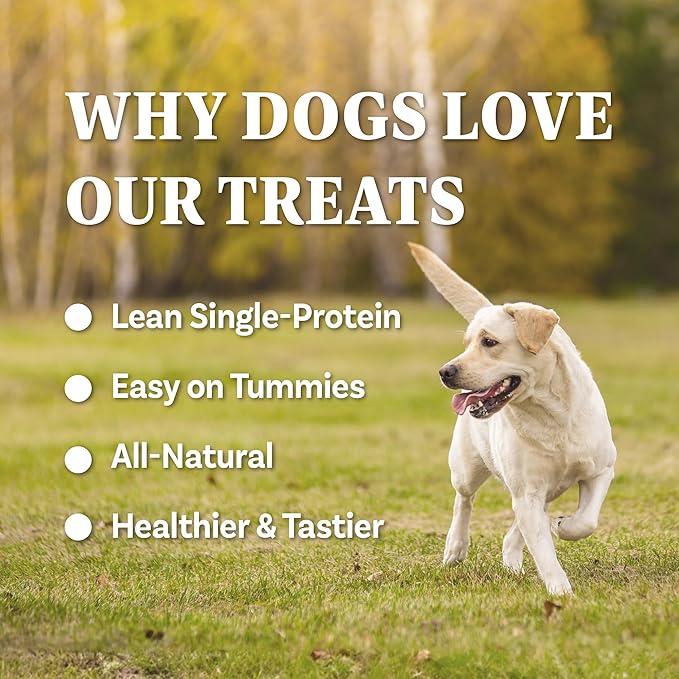 A Freschi srl Buffalo Dog Treats, All-Natural, Hypoallergenic, High Protein, Low Fat, Human Grade Puppy Chews – Healthy Grain-Free Training Treats, 4oz Jerky Strips