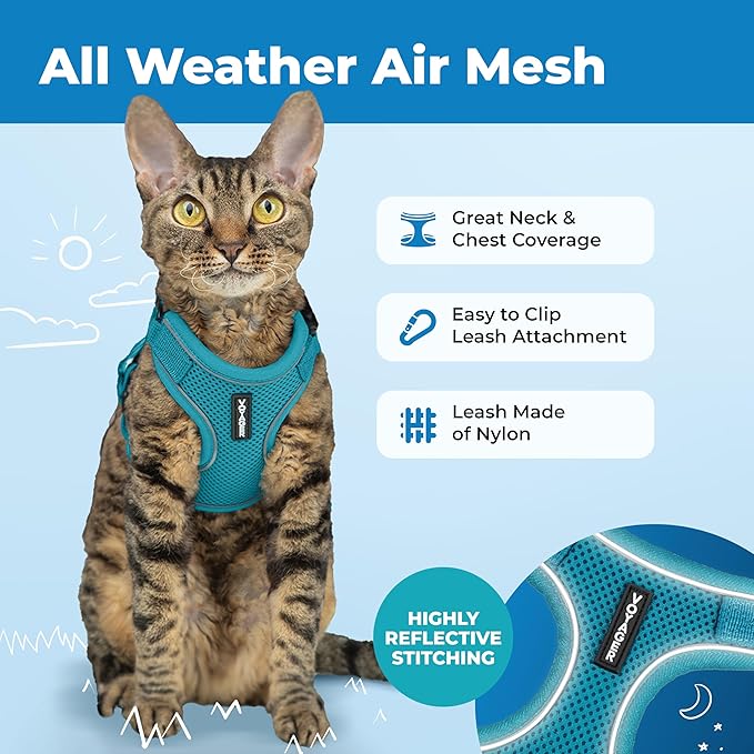 Voyager Escape-Proof Step-in Lock Cat Harness & 5ft Neoprene-Handle Leash Set All-Weather Mesh with Reflective Stitching for Small to Large Cats by Best Pet Supplies, Turquoise (327), S