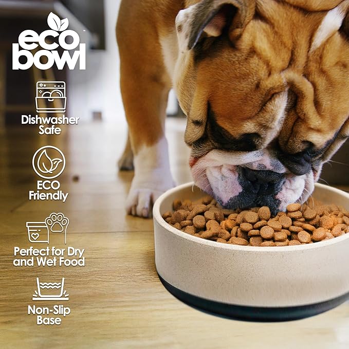 Palz&Co EcoBowl with Lid for Dogs & Cats, 28 oz Gray - Natural Bamboo Pet Bowl with Non-Slip Base, Pet Food and Water Dish, Dishwasher Safe