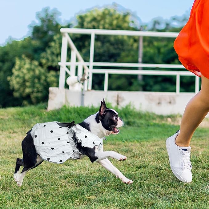 2 Pieces Dog Dress, Pet Clothes for Small Dogs Girl, Cute Heart Print Puppy Sleeveless Dresses with D-Ring, Breathable Pet Outfit Summer Clothes for Small Dogs Puppy Cats Girl Apparel (Heart, X-Large)