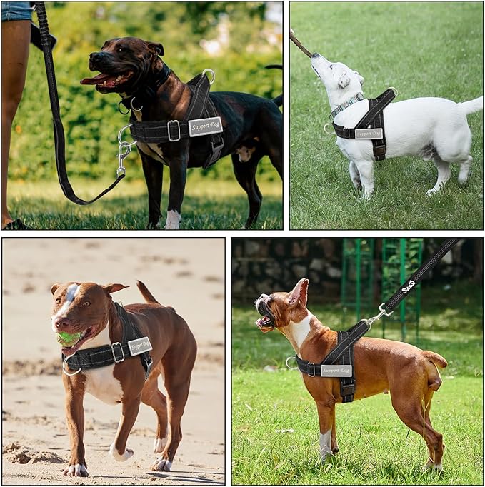 SlowTon No Pull Dog Harness - Heavy Duty Dog Harness and Leash Set for Medium Large Dogs, Reflective Tactical Harness with Soft Padded and Front Clip for Easy Walk and Training (Black S)
