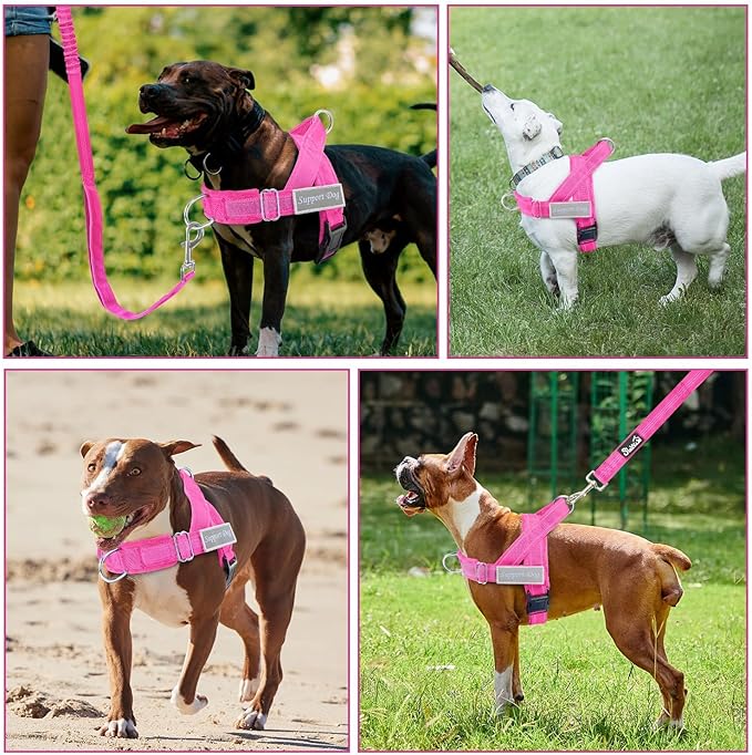SlowTon No Pull Dog Harness - Heavy Duty Dog Harness and Leash Set for Medium Large Dogs, Reflective Tactical Harness with Soft Padded and Front Clip for Easy Walk and Training (FU, S)