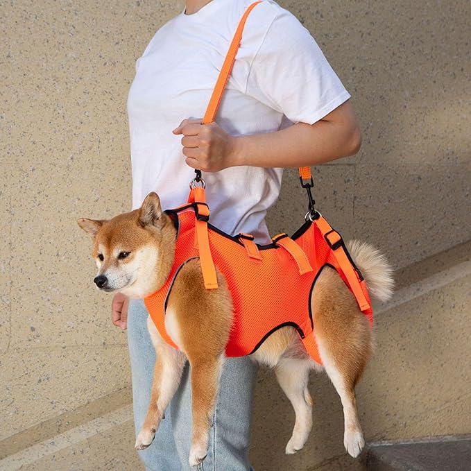 Breathable Pet Harness Lift Slings for Senior Dog Mobility Slings for Surgical Joint Leg Recovery Lift Harness