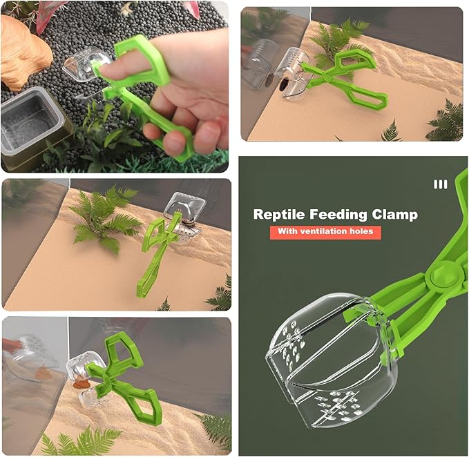 2-in-1 Reptile Feeding Water Bottle and Feeding Clamp,Automatic Feeders Bowl for Bearded Dragon Gecko Snake Lizard Turtles and Other Small Animals