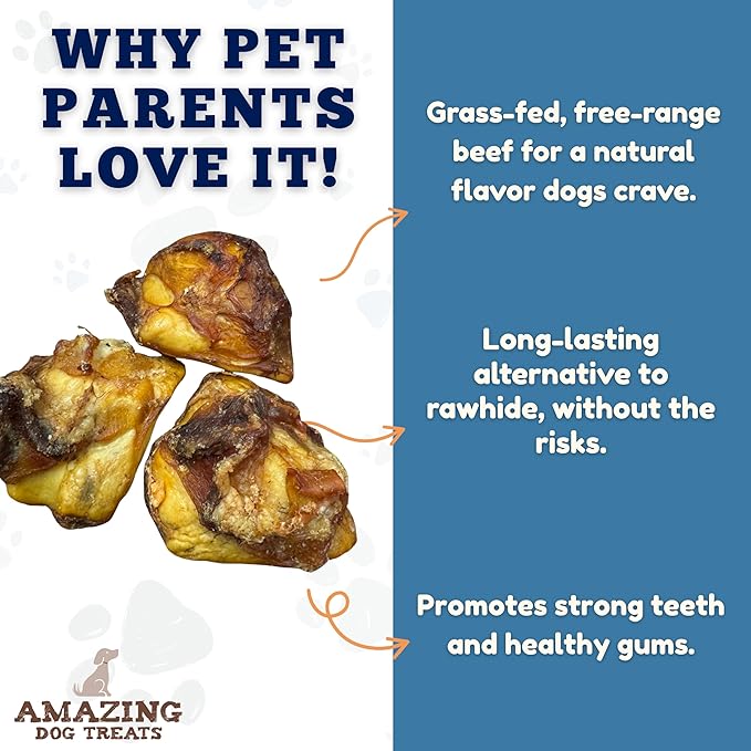 Amazing Dog Treats - Meaty Knee Cap Bones (10 Count) - Sourced from Premium Grass Fed Cattle - Knee Cap Bones for Dogs - Long Lasting Dog Chews - Smoked Tasty Dog Chews for Aggressive Chewers