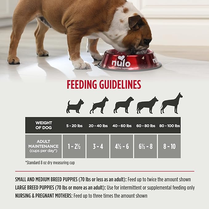 Nulo Freeze-Dried Raw Beef Recipe with Apples Complete and Balanced Dry Dog Food Kibble, 18 Ounce Bag