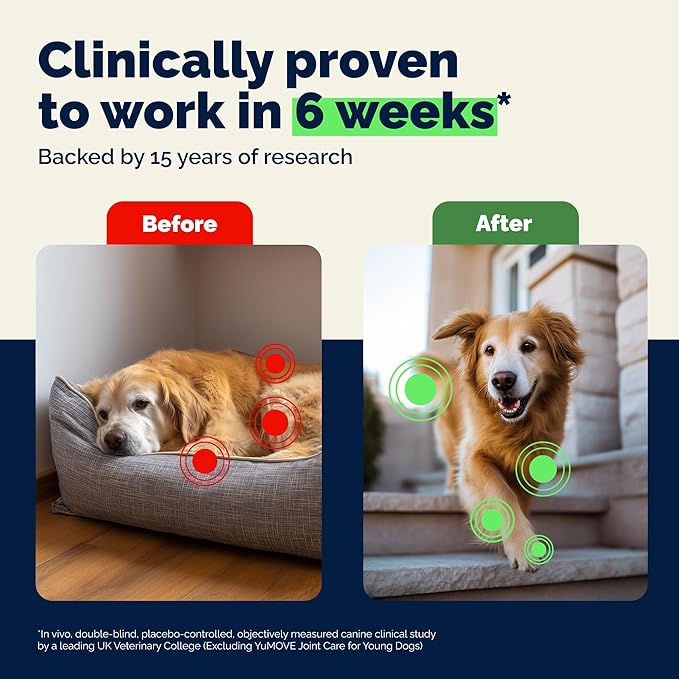 YuMOVE Dog Hip & Joint Supplement, Regular or Advanced Strength - ActivEase Green Lipped Mussel, Glucosamine, Hyaluronic Acid & Omega 3 - Chewable Tablets (120ct Chewable Tablets, Advanced Strength)