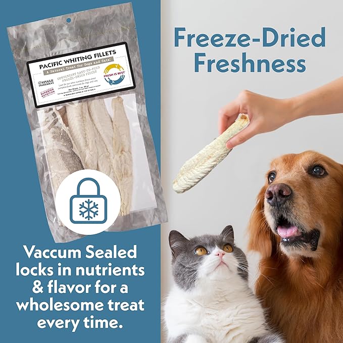 Fresh Is Best Freeze Dried Dog Treats – Raw Freeze Dried Fish for Cats & Canines in Resealable Zipper Bag – High-Protein One Ingredient Dog Treats – Pacific Whiting Fillets – Made in The USA