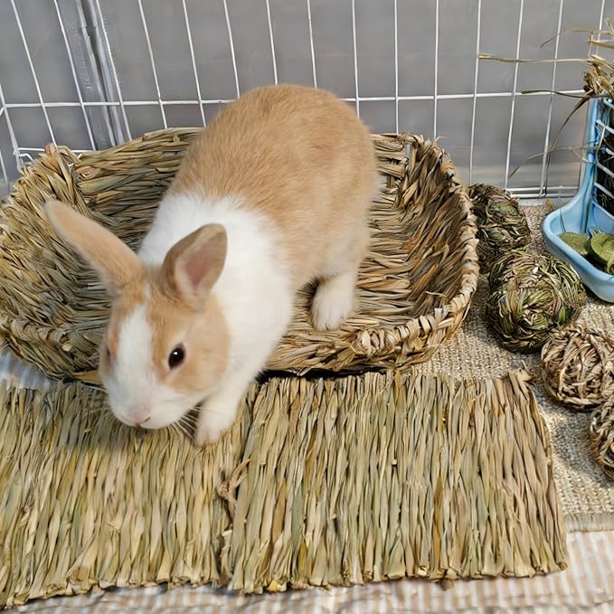 Hamiledyi Ex-Large Rabbit Grass Bed Natural Handmade Hay Mat Chew Balls for Drawf Rabbit Bunny Chinchilla Guinea Pig Ferret Hedgehog Rat