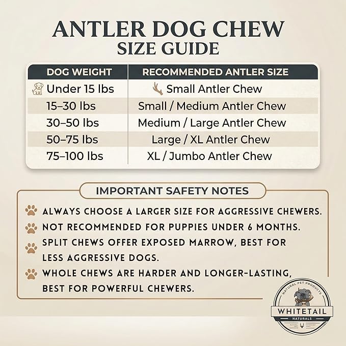 WhiteTail Naturals Whole Elk Antlers for Dogs (1 lb Bulk Pack) Long Lasting Dog Chews - Grade A, Naturally Shed & Wild Sourced (Aprox. 4 to 5 Count)