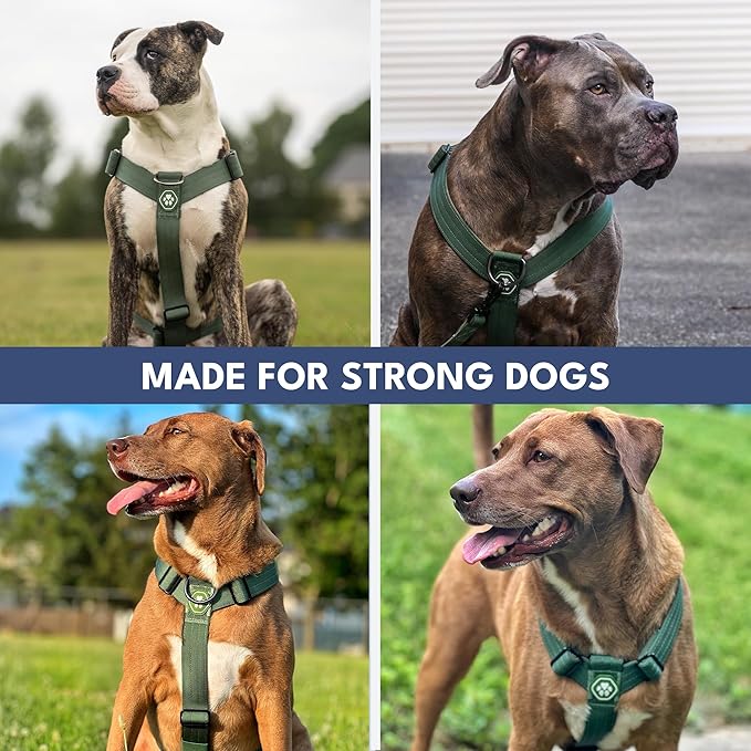 Spark Paws No Pull Dog Harness with Handle for Large Dogs, Heavy Duty Dog Harness for Big Strong Breeds, Adjustable, Y Shaped Padded Halter Design with Front Clip - Army Green - L