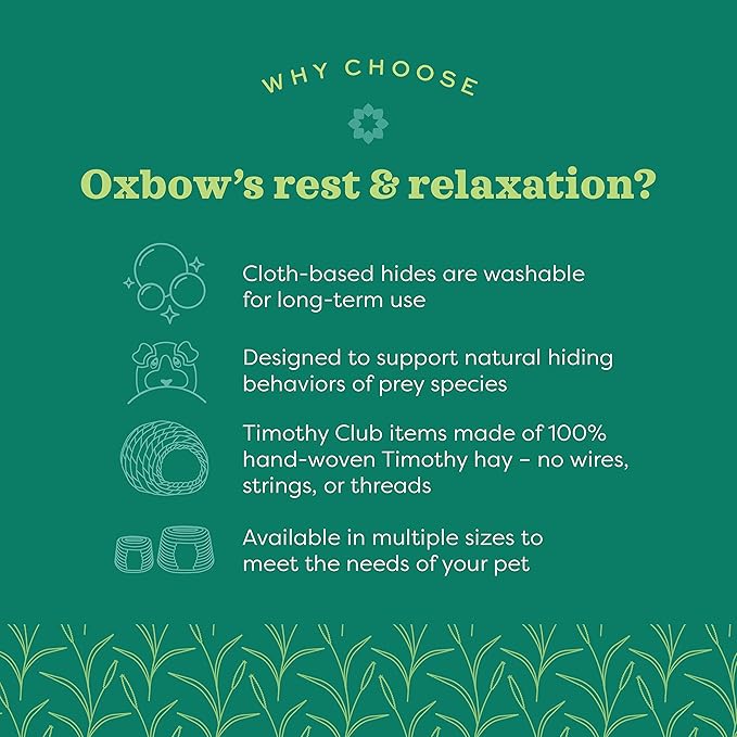Oxbow Timothy Hay Bungalow, Rabbit & Guinea Pig Hideout, Edible & Hand-Woven Bunny House, No Wires or String, Small Pet Accessories, for Rabbits, Guinea Pigs, Chinchillas & Rats, Medium