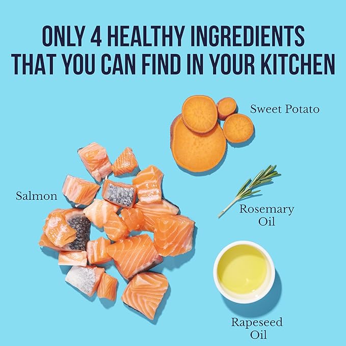 Snif-Snax Salmon Bites Dog Treats 3 Pack, All Natural Human-Grade Training Treats for Dogs, Healthy Grain-Free Puppy & Adult Rewards, Protein Rich Soft Salmon Snacks