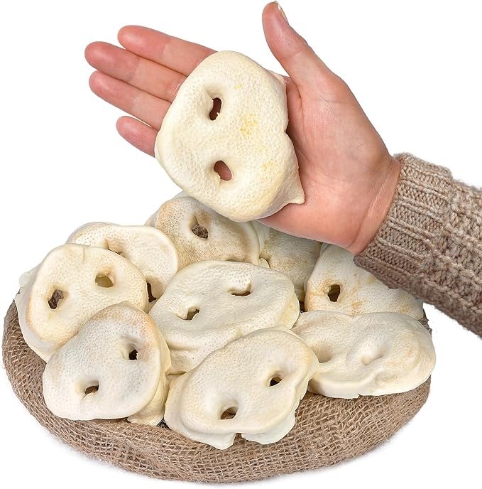 White Pig Snouts for Dogs 10 Pcs | Natural, Low-Fat Dog Chews | High Protein, Single Ingredient Treats | Supports Dental Health | Ideal for All Breeds
