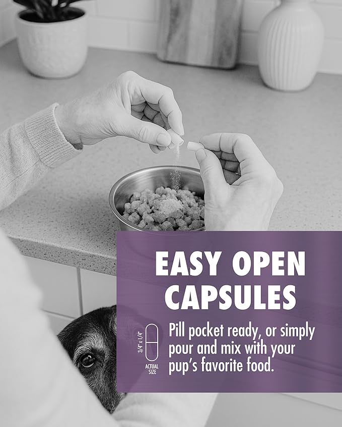 HEALTH DIRECT – RenuVite 4 Dogs | Hip & Joint Supplement for Senior Dogs | Supports Mobility & Energy | Anivestin, Collagen, Aronia Berry, DHEA | 20-120 Servings, 60 Capsules