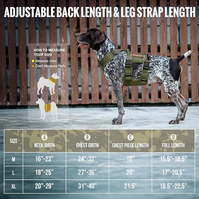 OneTigris Breathable Dog Lift Harness for Medium Sized Dogs, Dog Sing for Large Dogs Hind Leg Support, Hip Support Brace Front Leg Vrace (Green, Large)