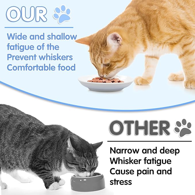 6 Pack Cat Food Bowl, Ceramic Cat Bowls, Anti Whisker Fatigue Cats Bowl Set,5.5 Inches Shallow Wide Kitten Plates for Food and Water (White-C)