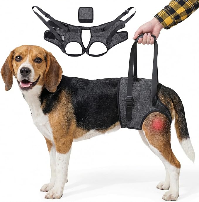 Dog Lift Harness for Back Legs–Sturdy Dog Support Sling–Hip Sling Carrier for Large Medium Canine, Stair Helper for Aid Old Ligament Rehabilitation Pet, Grey,S